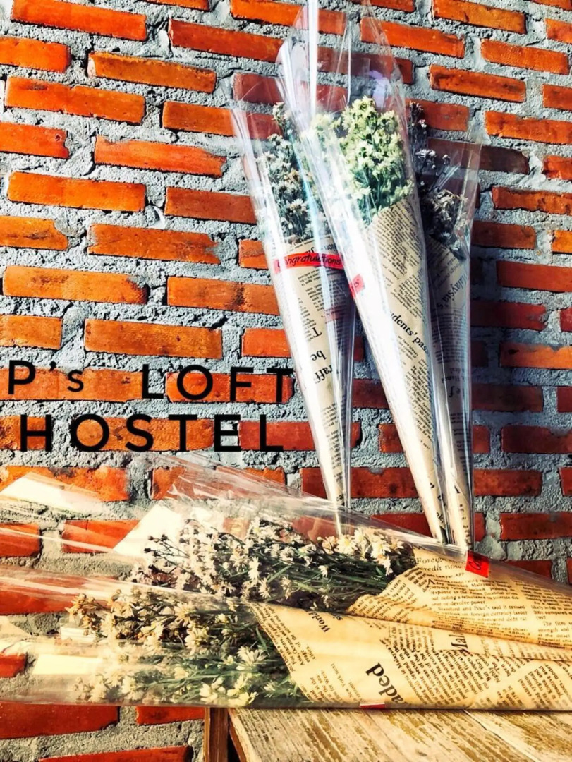 P Loft Hostel