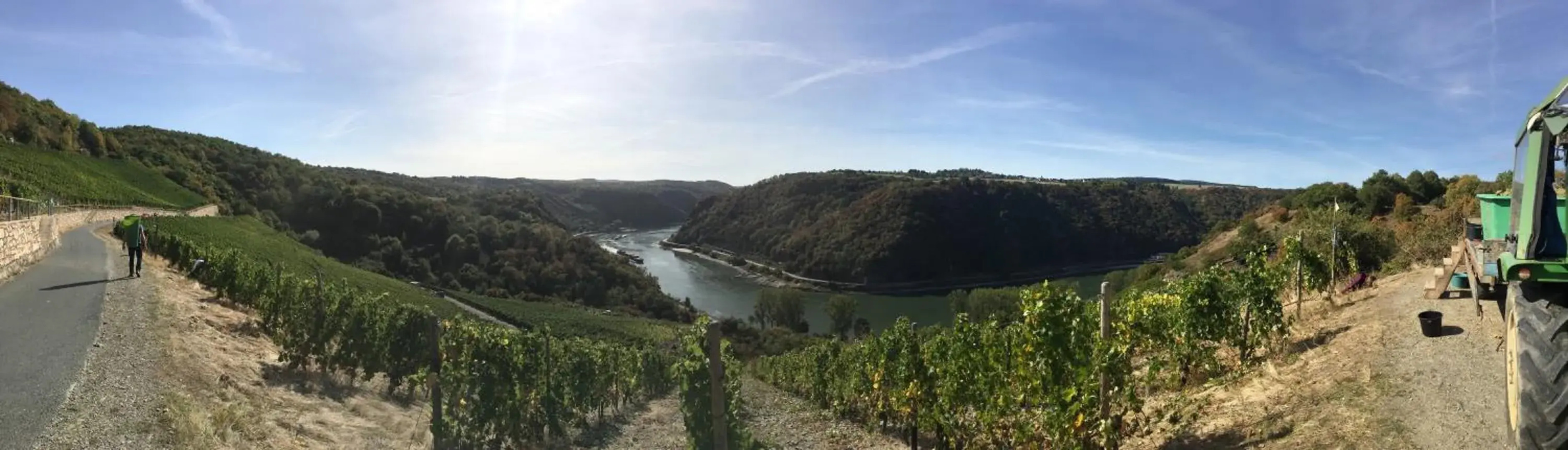 Das Loreley Weinstübchen