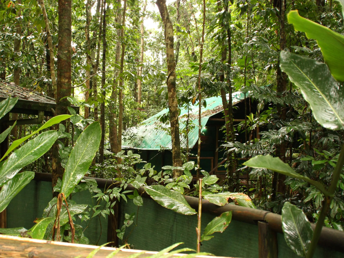 Daintree Crocodylus Village