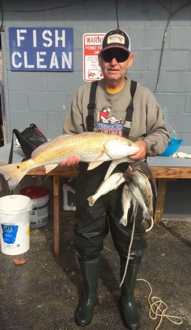 South Beach Inn Boutique Beach Motel