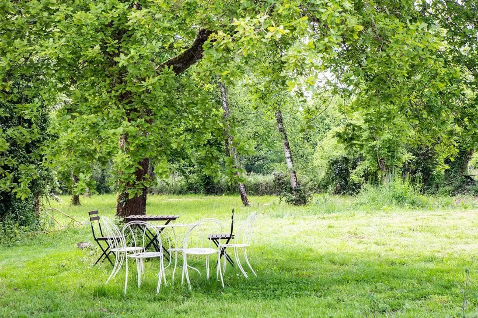 Le Chat Qui Perche. Gîte pour 6 personnes.