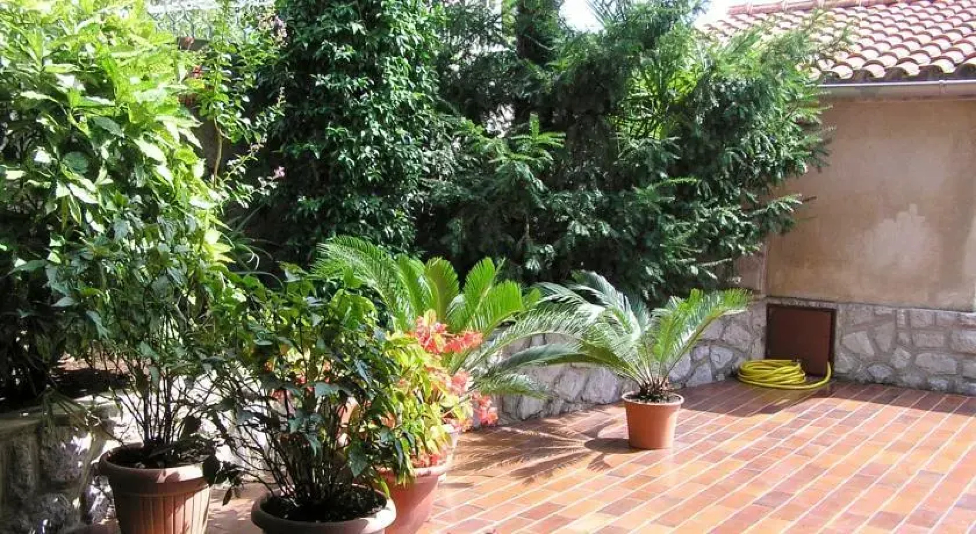 Guest House Lifestyle Holiday