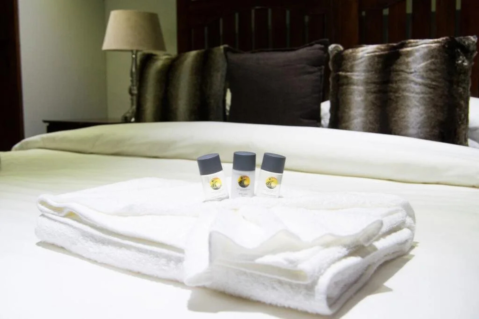 African Safari Lodge