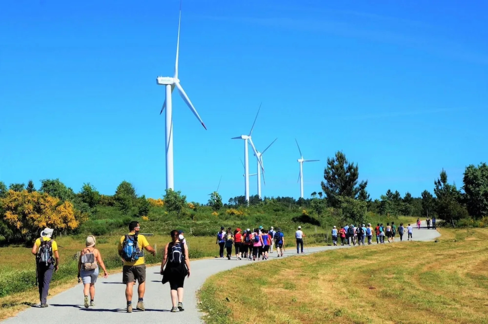 House With 5 Bedrooms in Bendada, Sabugal, With Wonderful Mountain View and Enclosed Garden