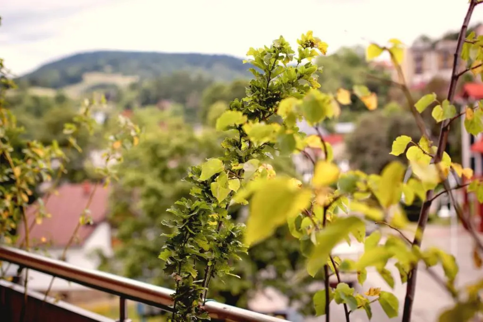 Aba Apartamenty Piłsudskiego 41