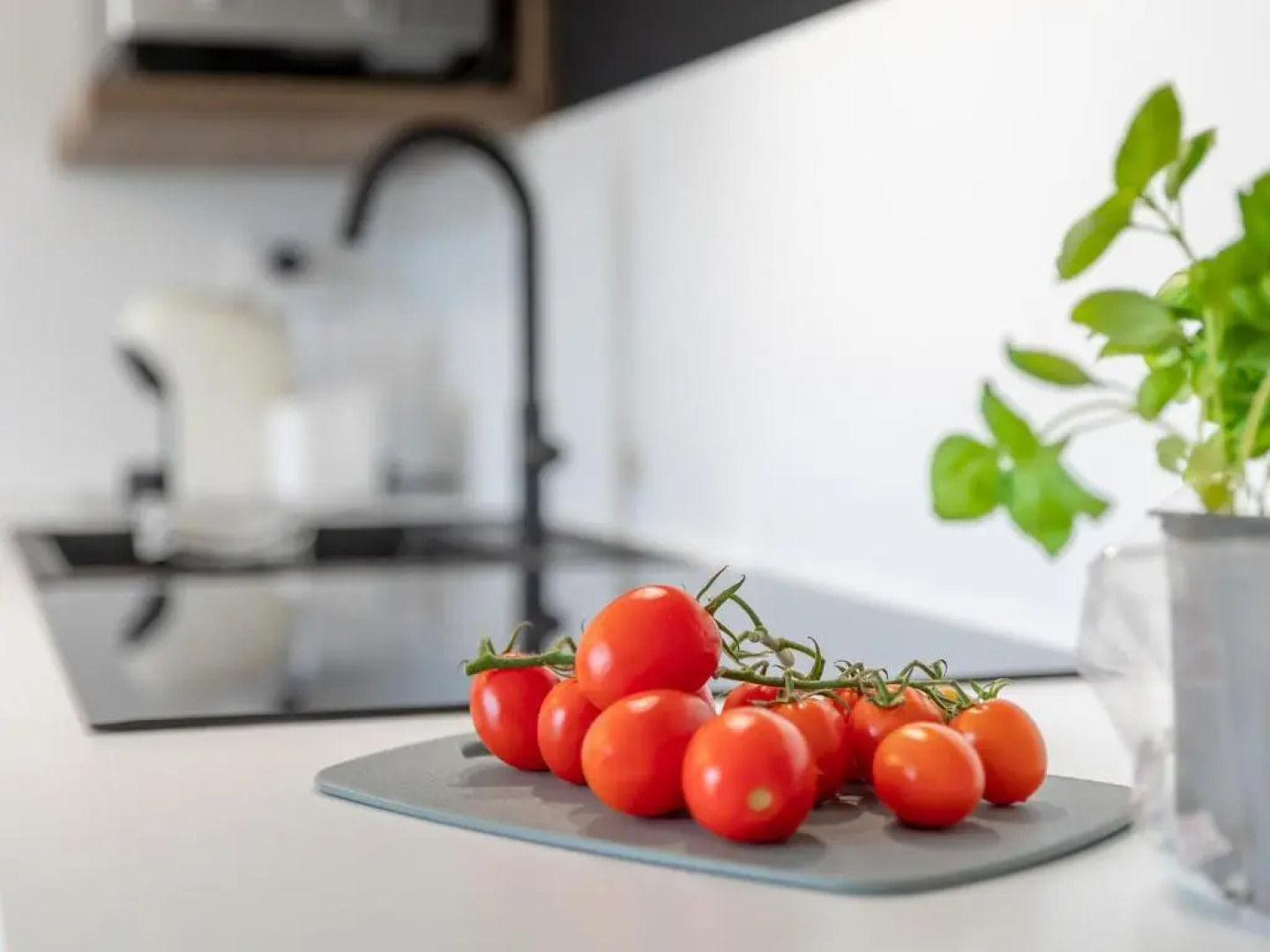 Leonardo - swimming pool and wide patio with barbecue