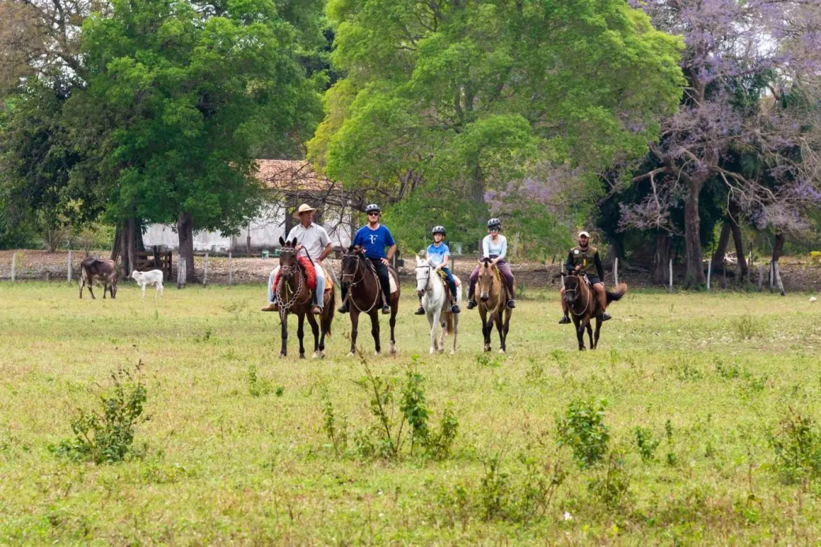 Pousada Fazenda Xaraes