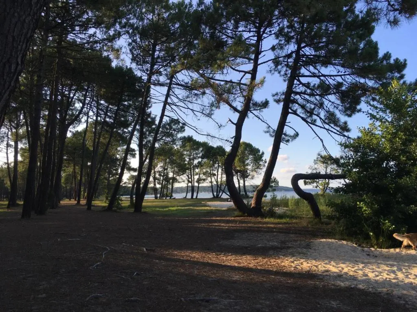 Le Domaine de Gascogne - appartement 2 pièces 4/5 personnes