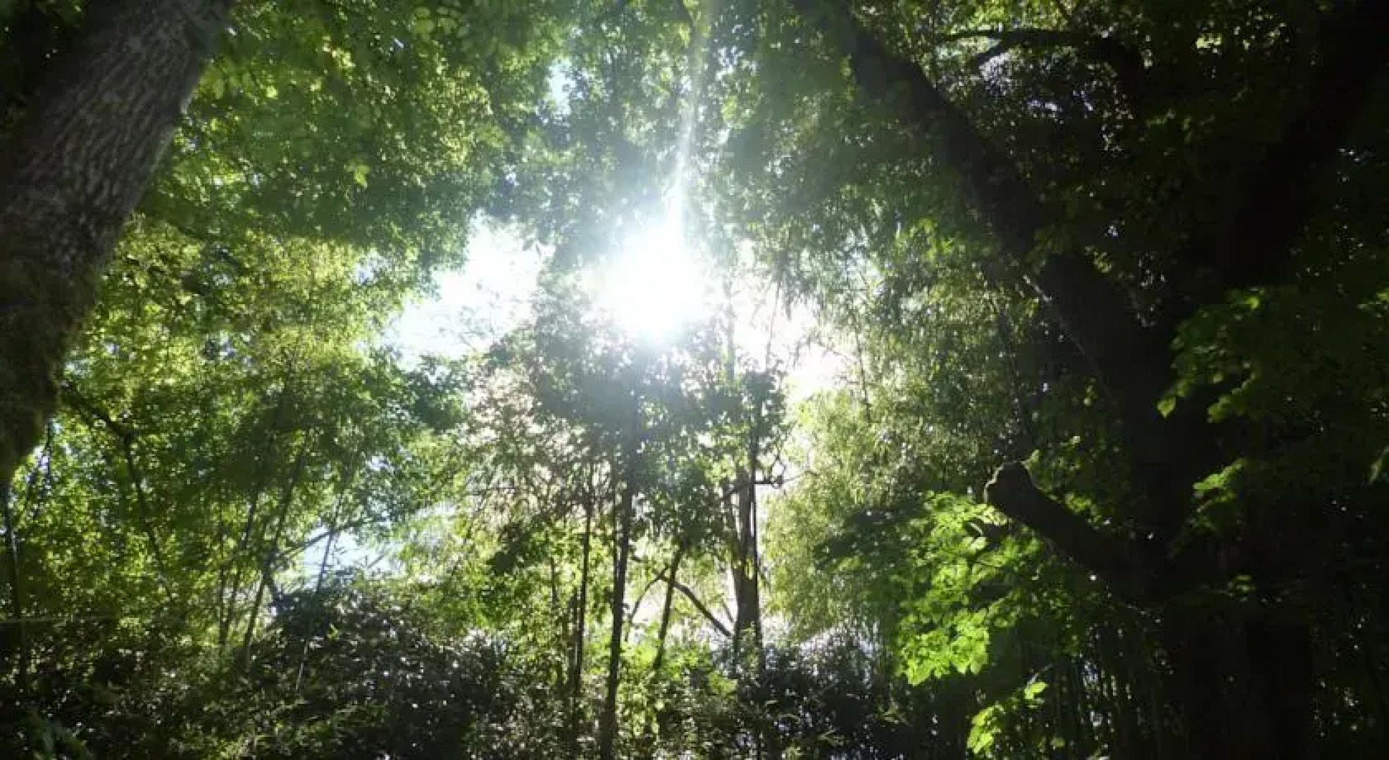 Chambres dHôtes Moulin de Masvicomteaux
