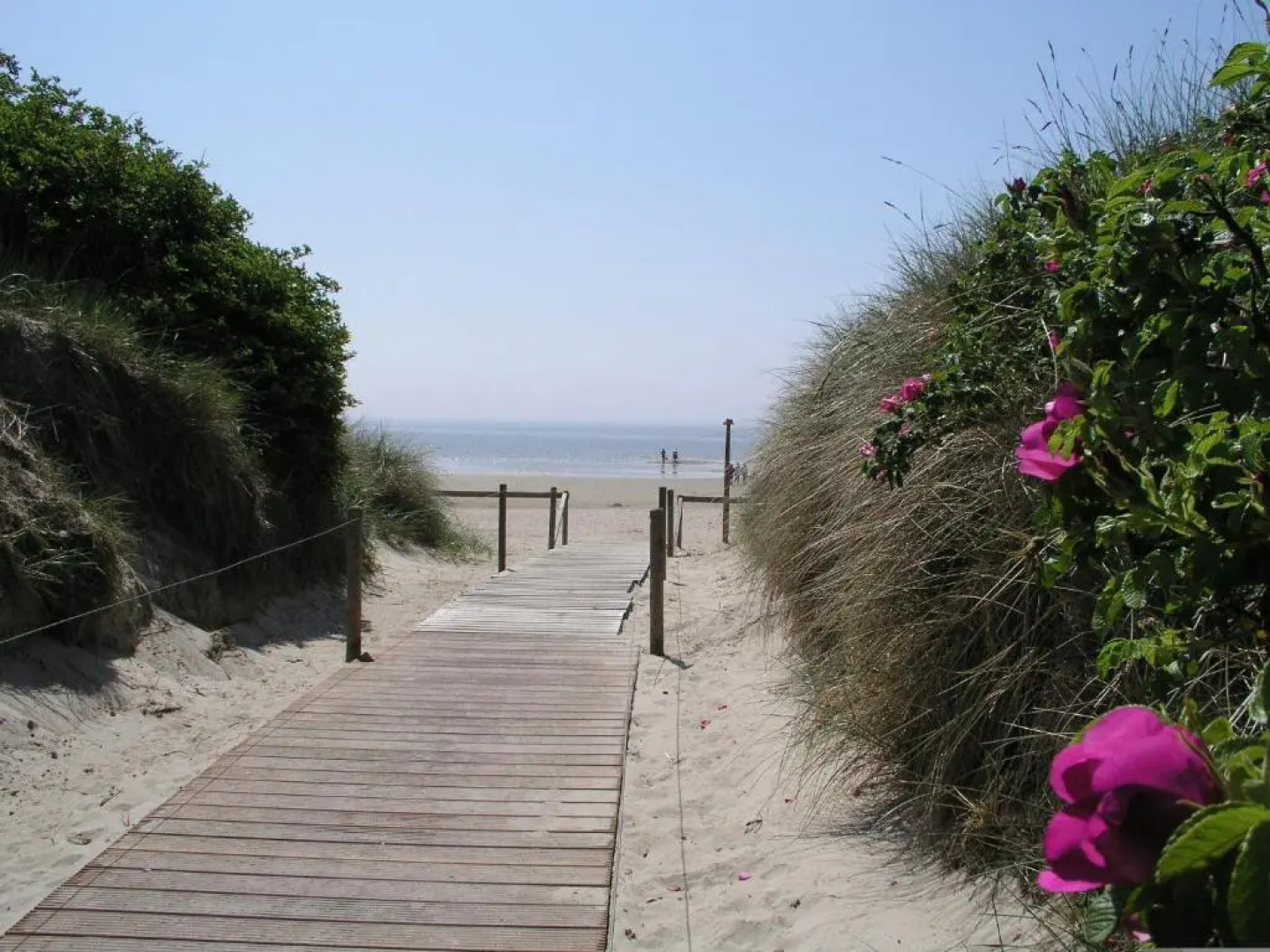 Friesenhof - Nieblum auf Föhr