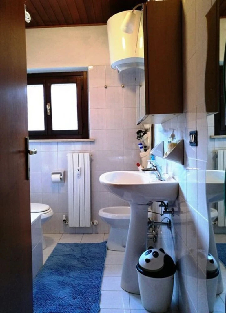 Cozy Flat in the Alps