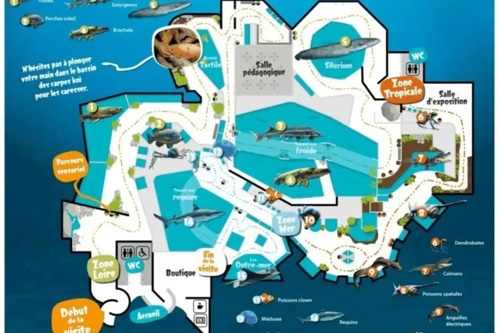 F2 in large house 800 m from Tours in lush greenery