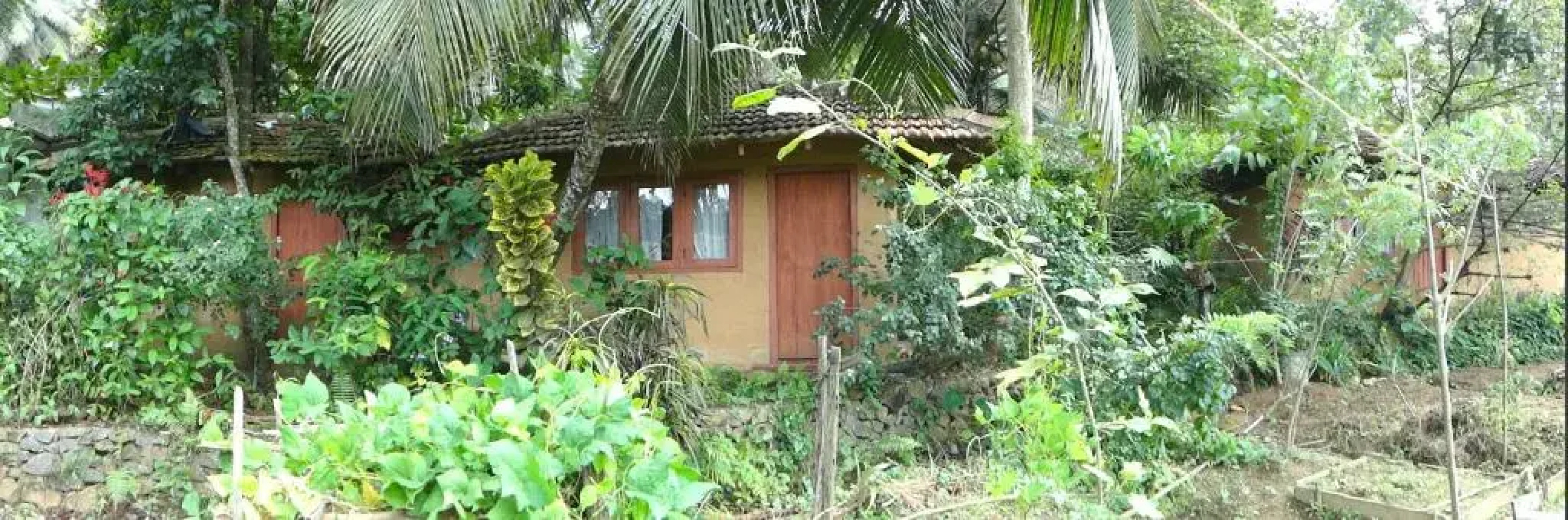 Rural Jungle Backpackers Hostel