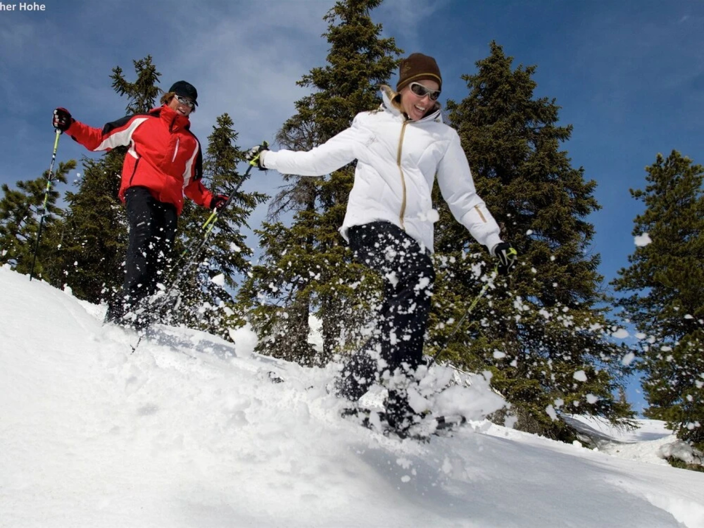 Lovely Chalet in Turracherhöhe with Sauna & Indoor Hot Tub