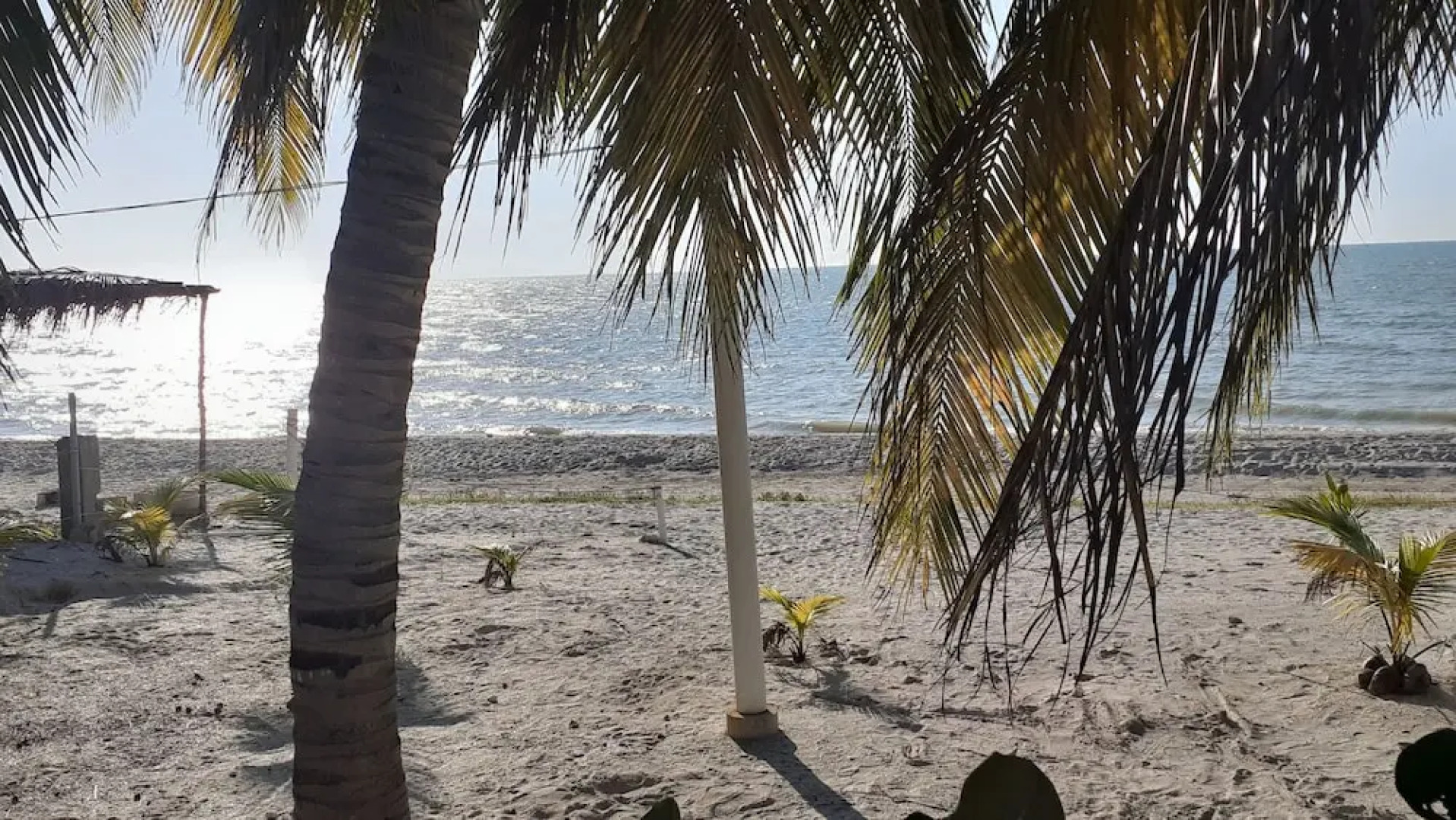 Flamingo Guest House Celestún