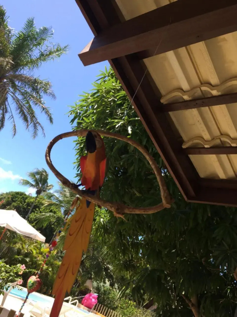 Pousada Ecologica Bangalo de Praia