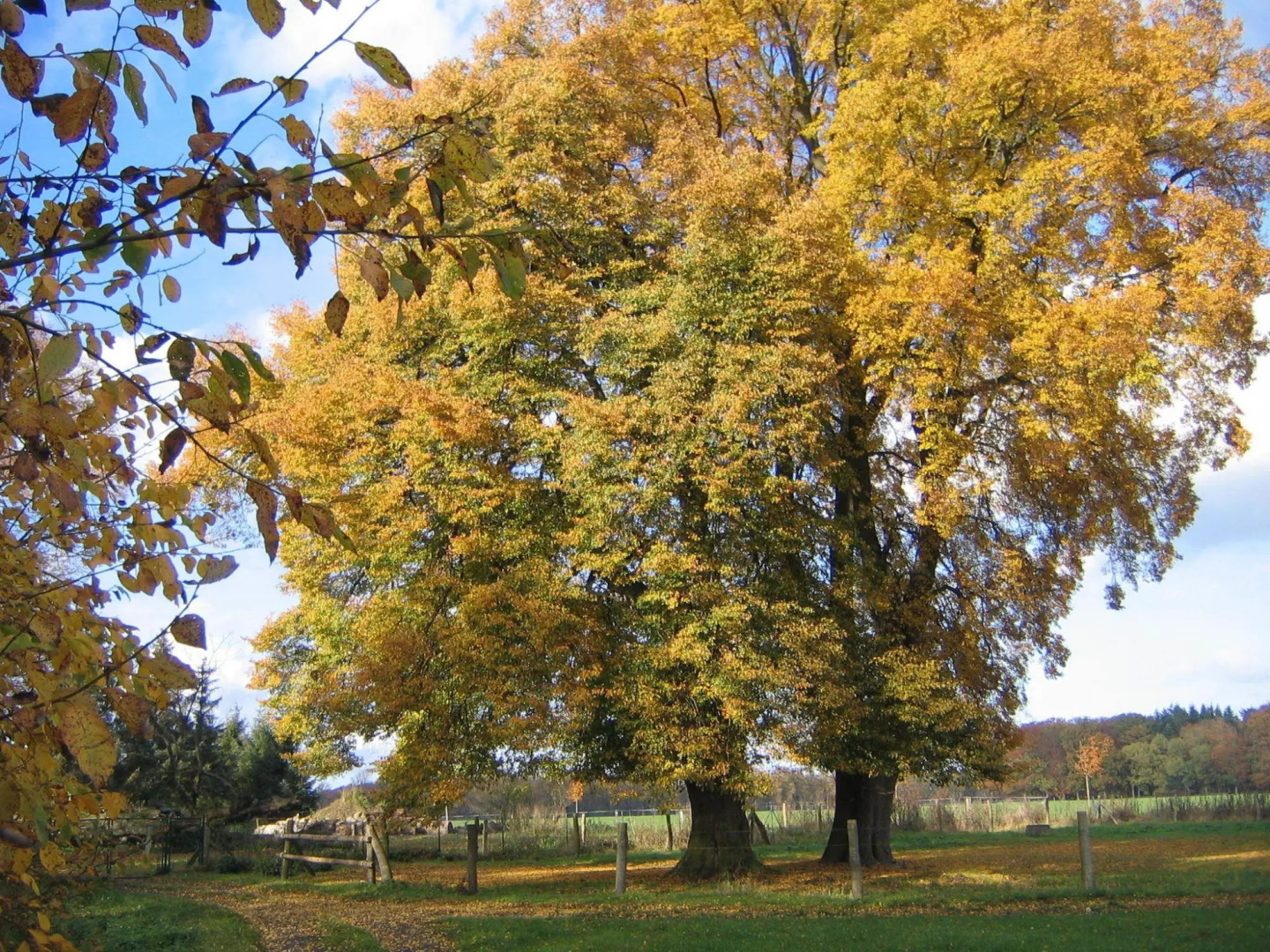 Wohnung in Semlow mit Garten und Terrasse