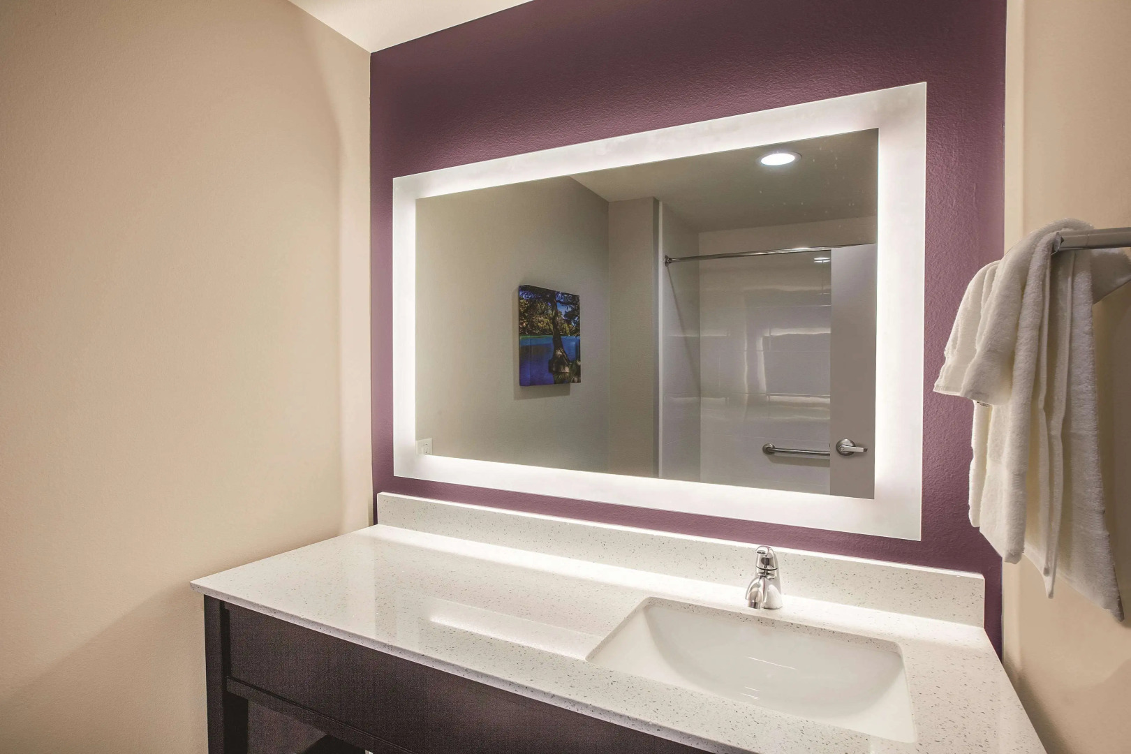 La Quinta Inn & Suites by Wyndham Dallas Northeast-Arboretum