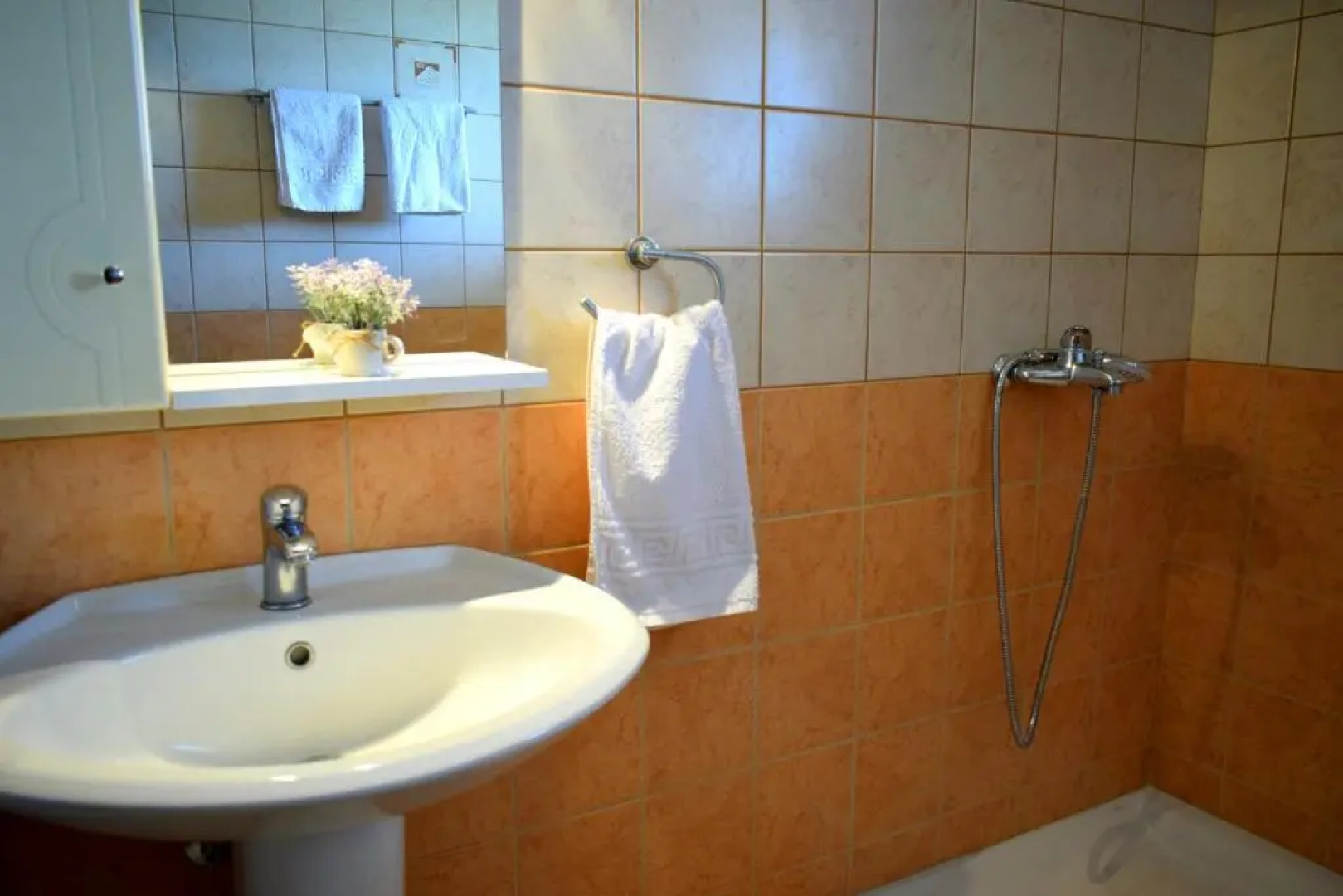 Bouganvillia Olivielias.Air2