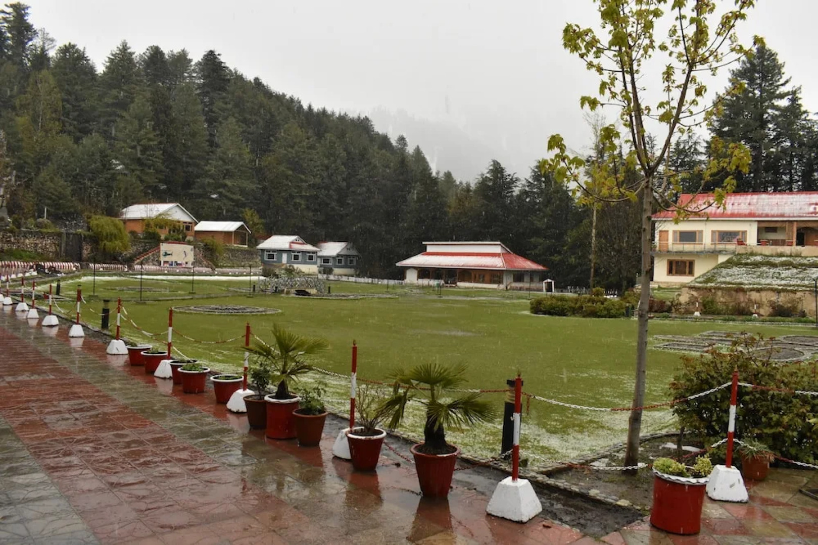 Pine Park Hotels & Resorts