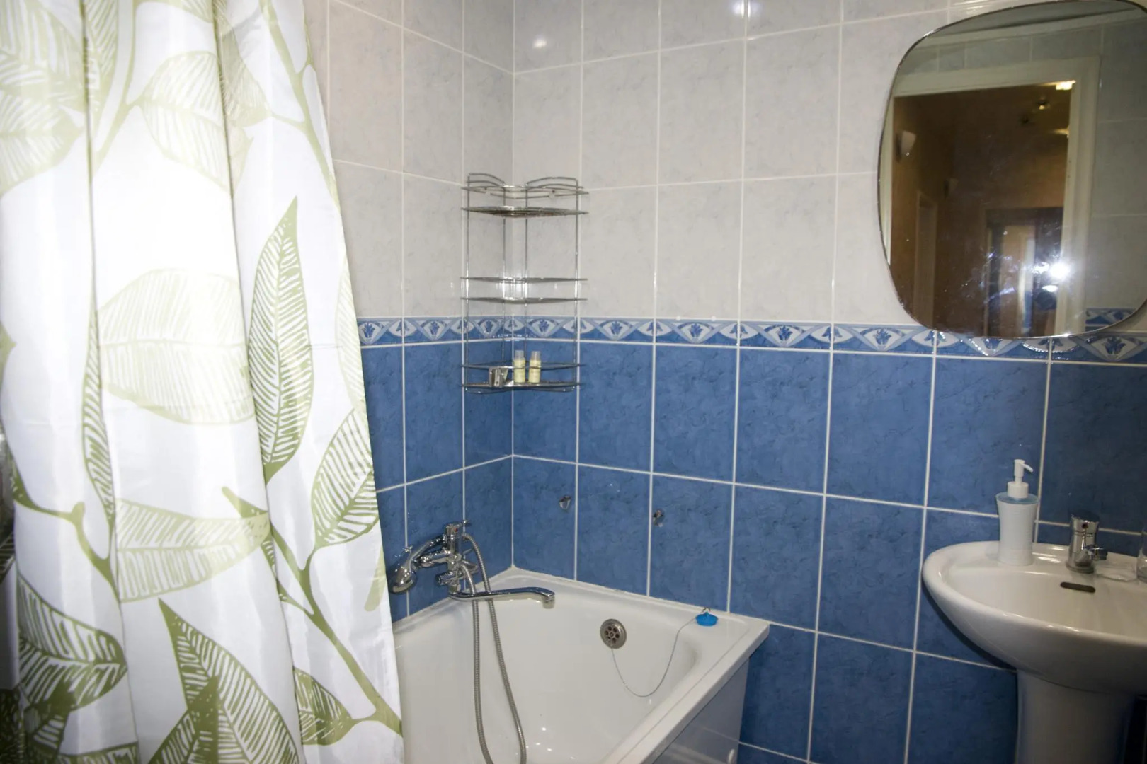 Барбарис на улице Мира 58