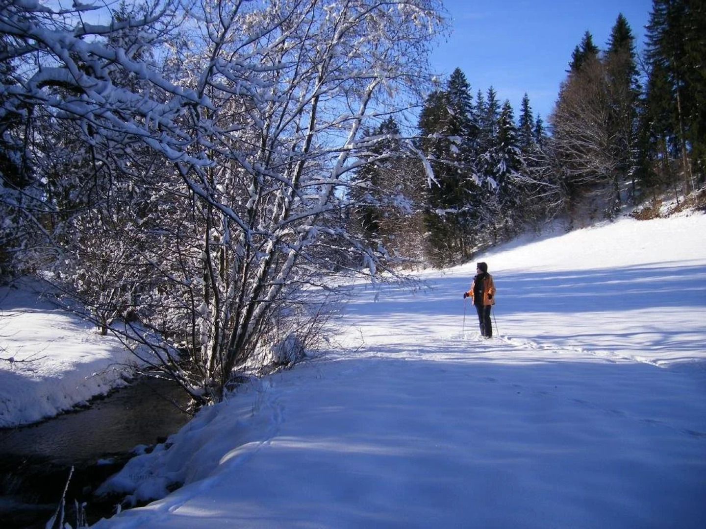 Ferienwohnungen Frick