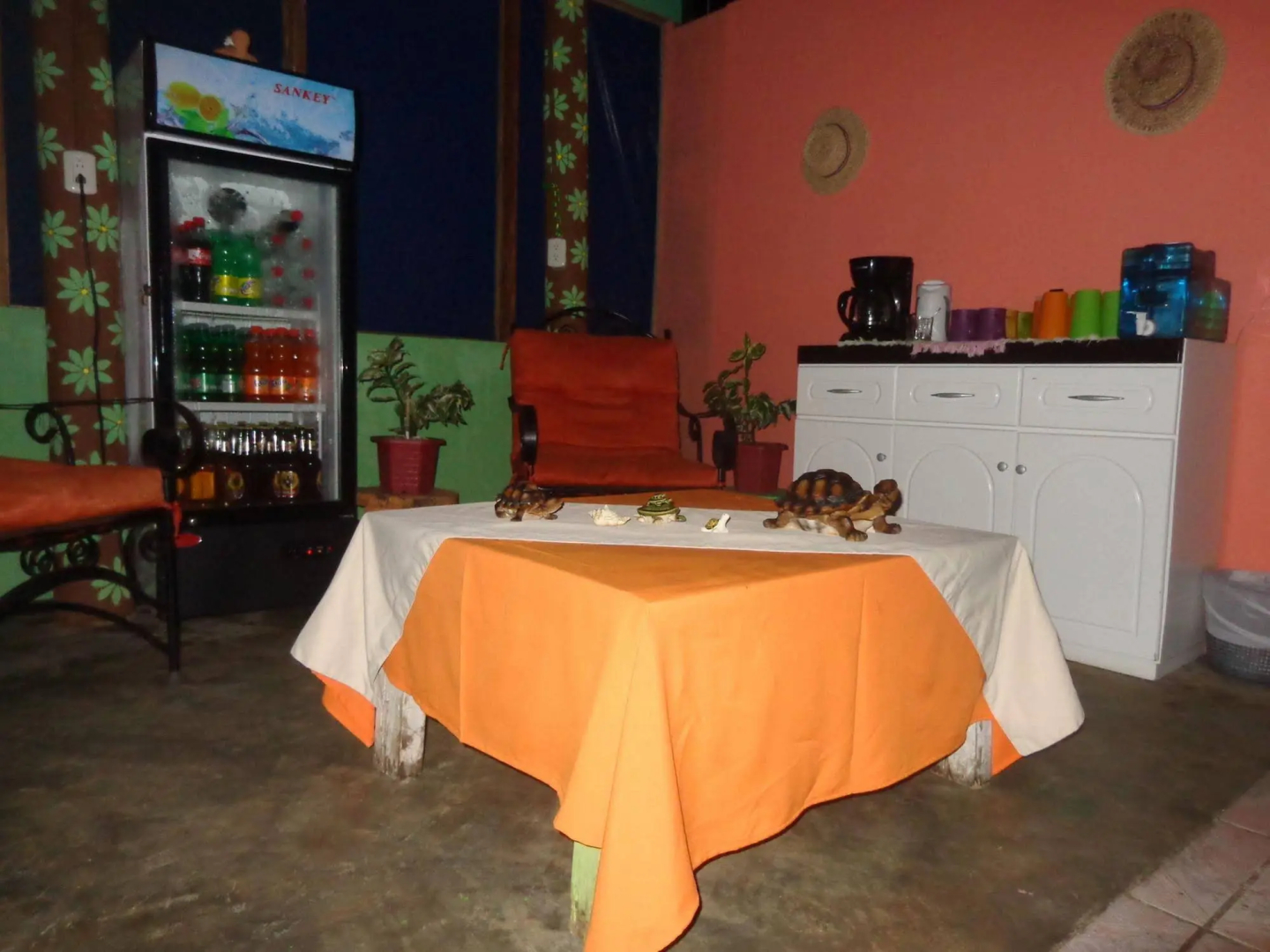 Cabinas Tortuguero Natural