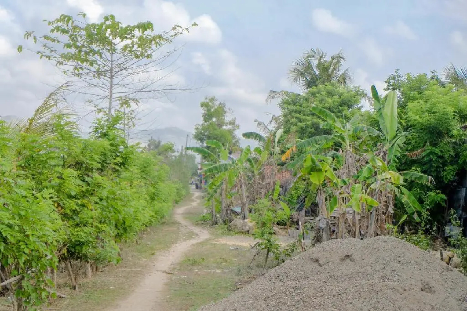 SPOT ON 1976 Hamana Beach Inn