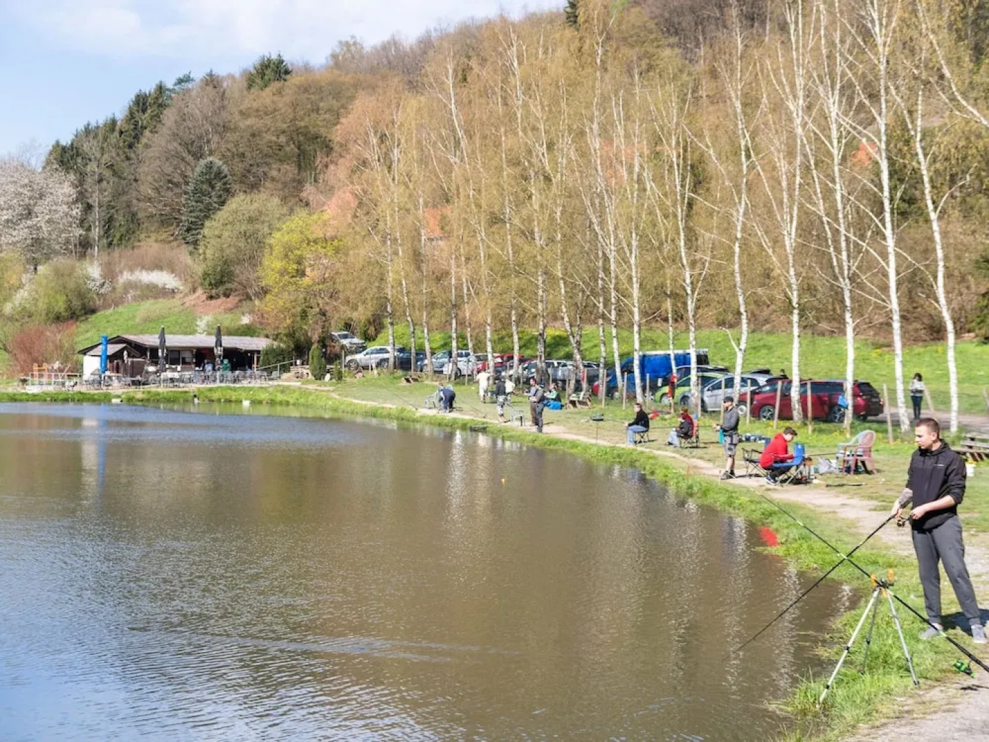 Apartment in the Odenwald With Terrace