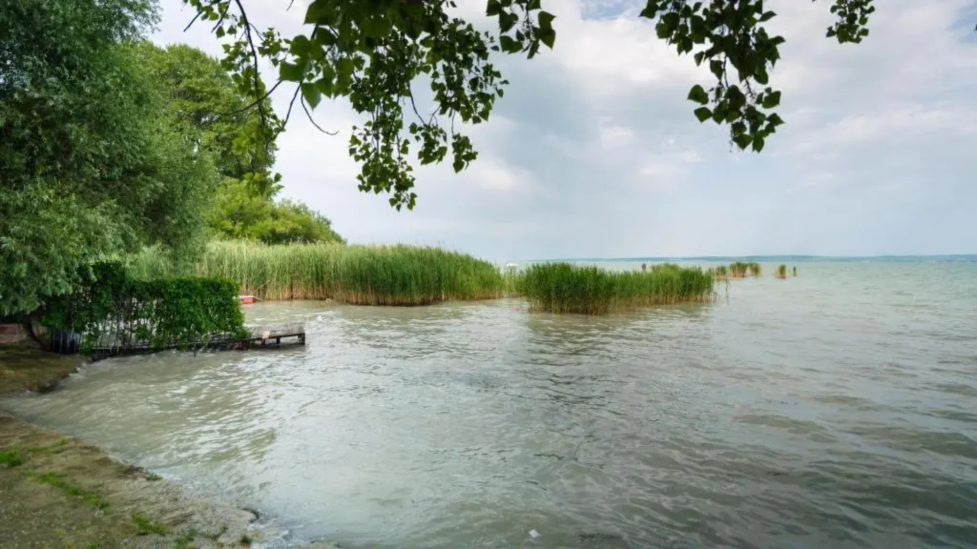 Fészek -Étel és Hotel-