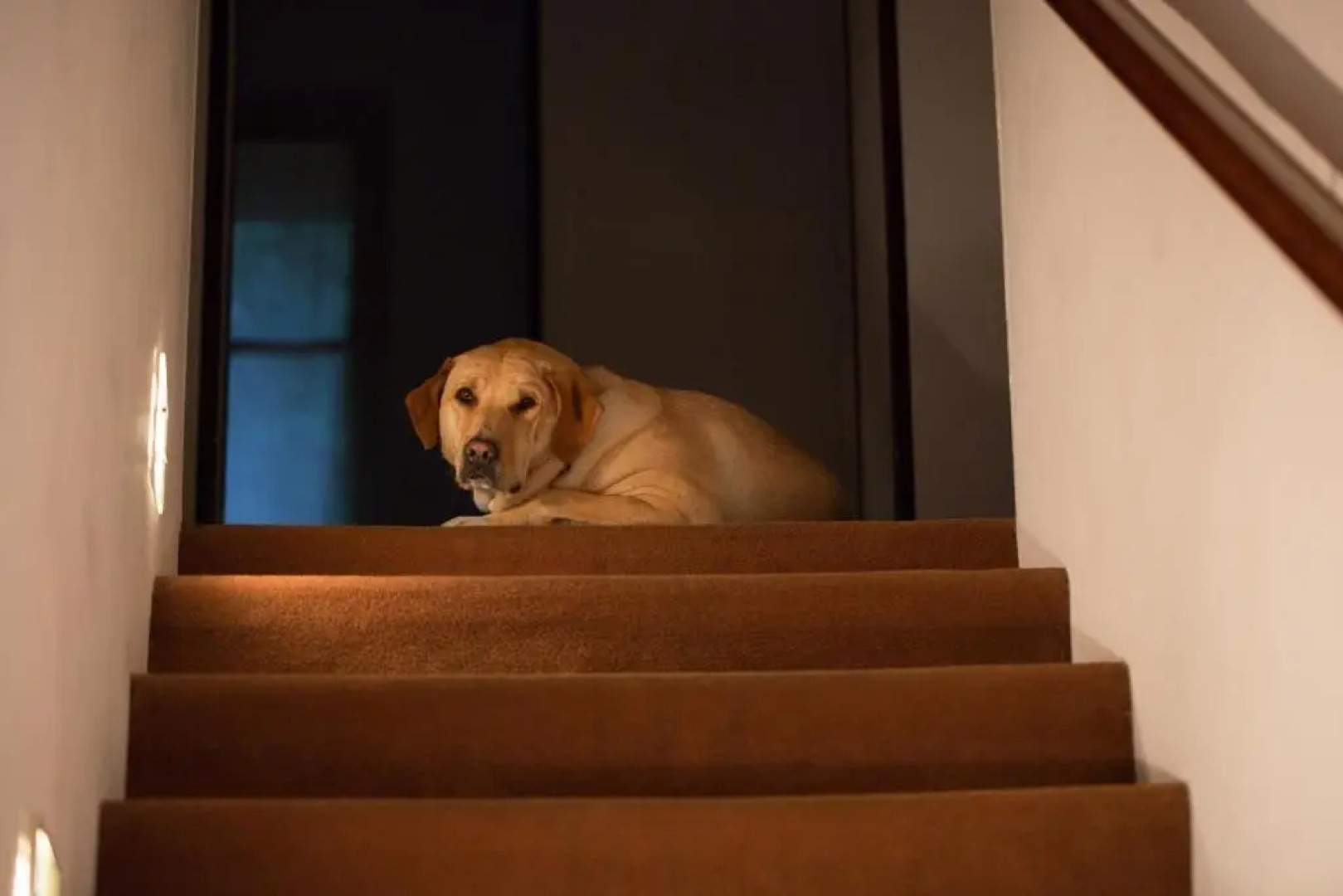 Hotel Ristorante Terzo Crotto