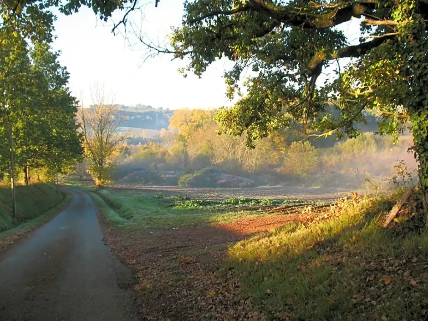 Chambre d'Hôtes Le Pigeonnier de Quittimont
