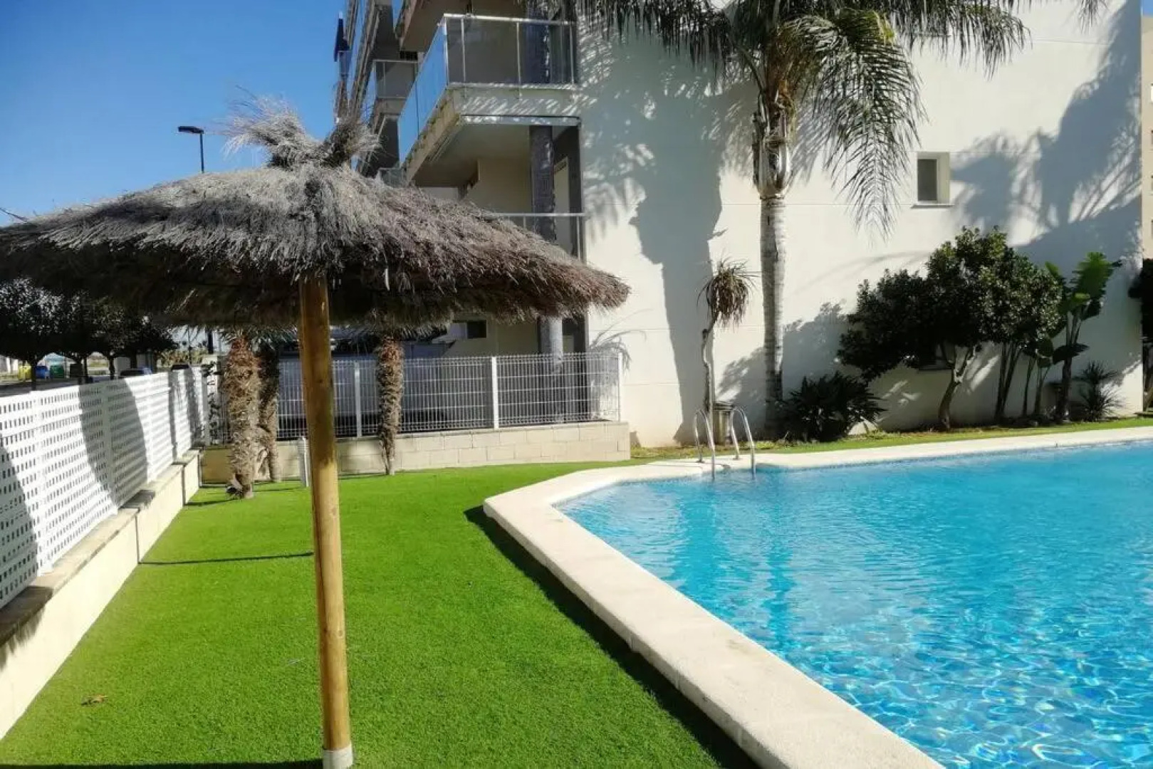 Romántico Daimús 2