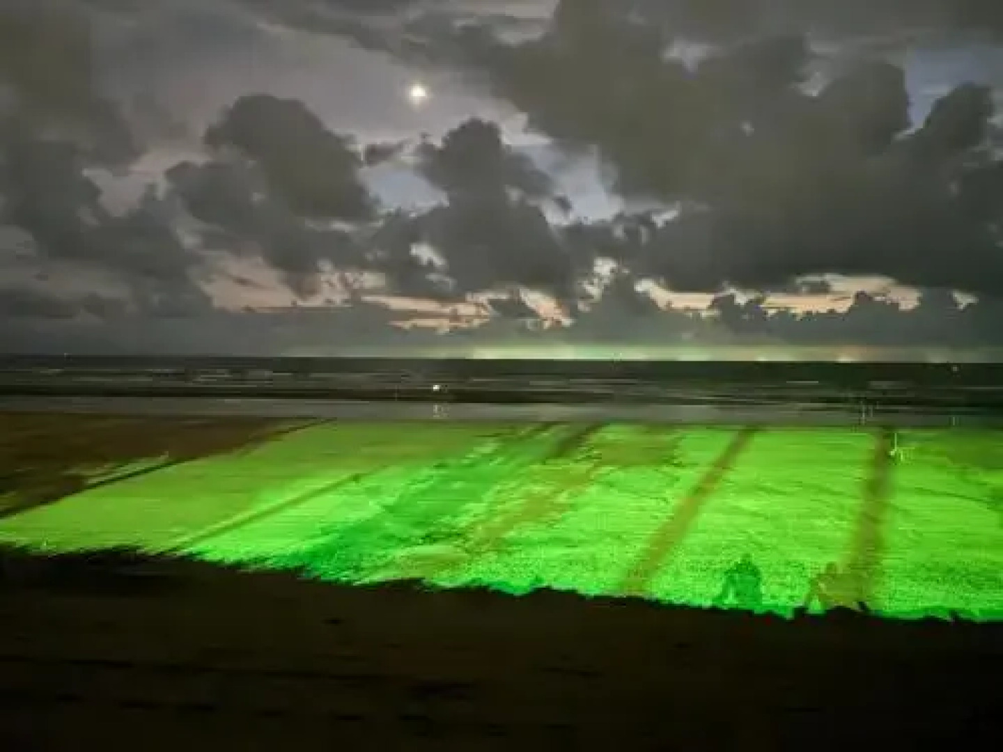 Happy Day's Diveagar