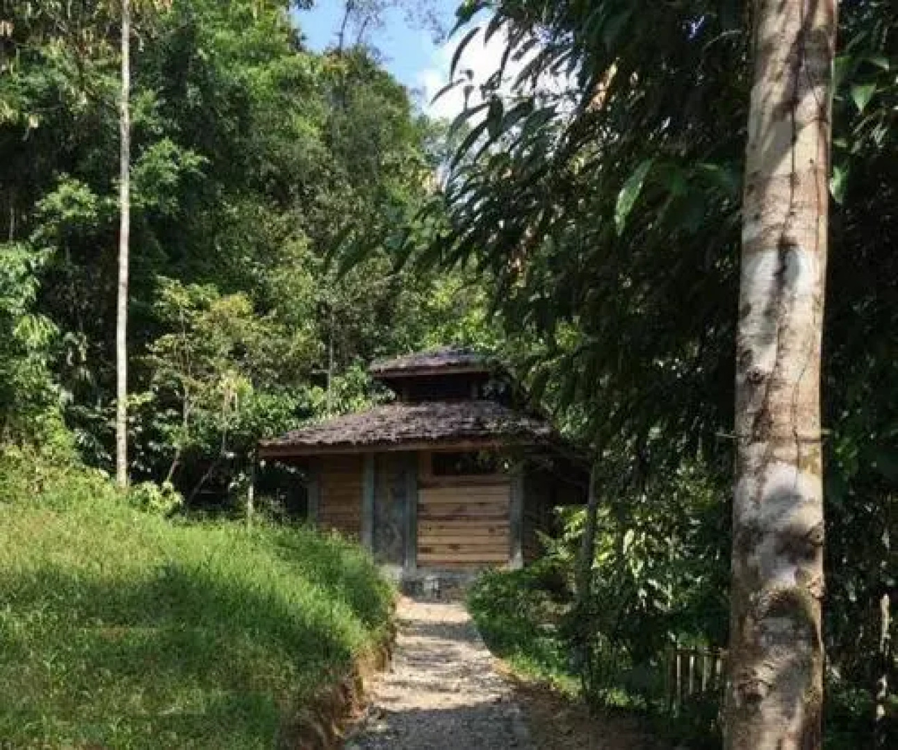 Sumatra Rainforest Eco Retreat