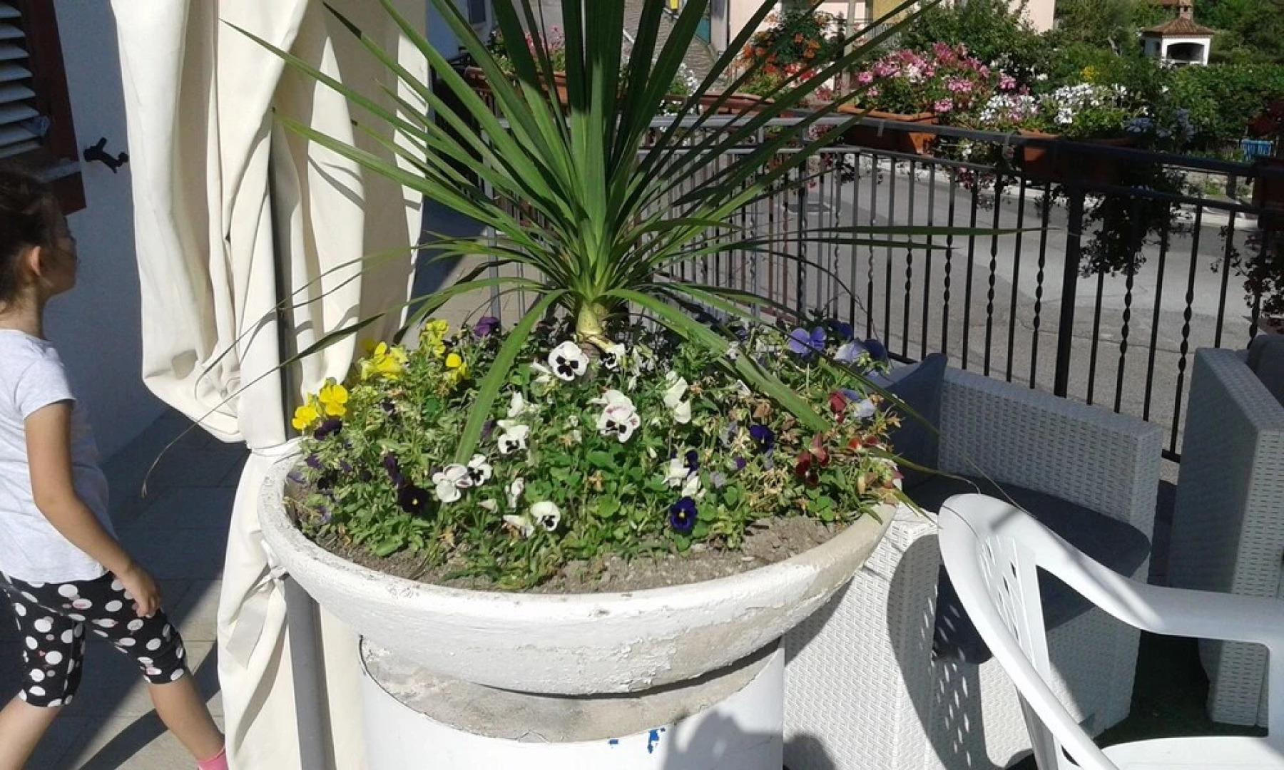 Bed and breakfast delle Terme