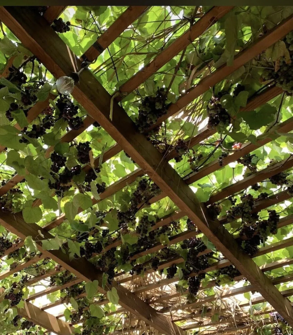 Te Bujtina Hotel&Restaurant