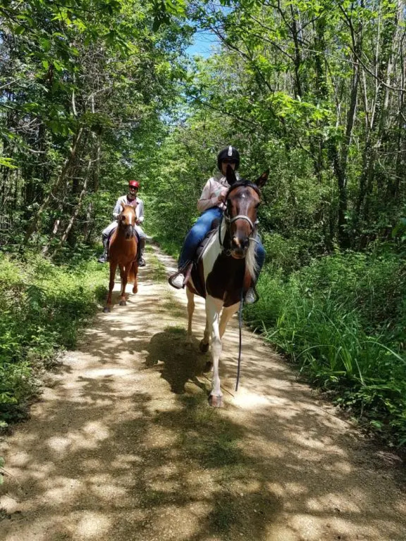 Gîte Équestre Domaine des Crins - Monpazier