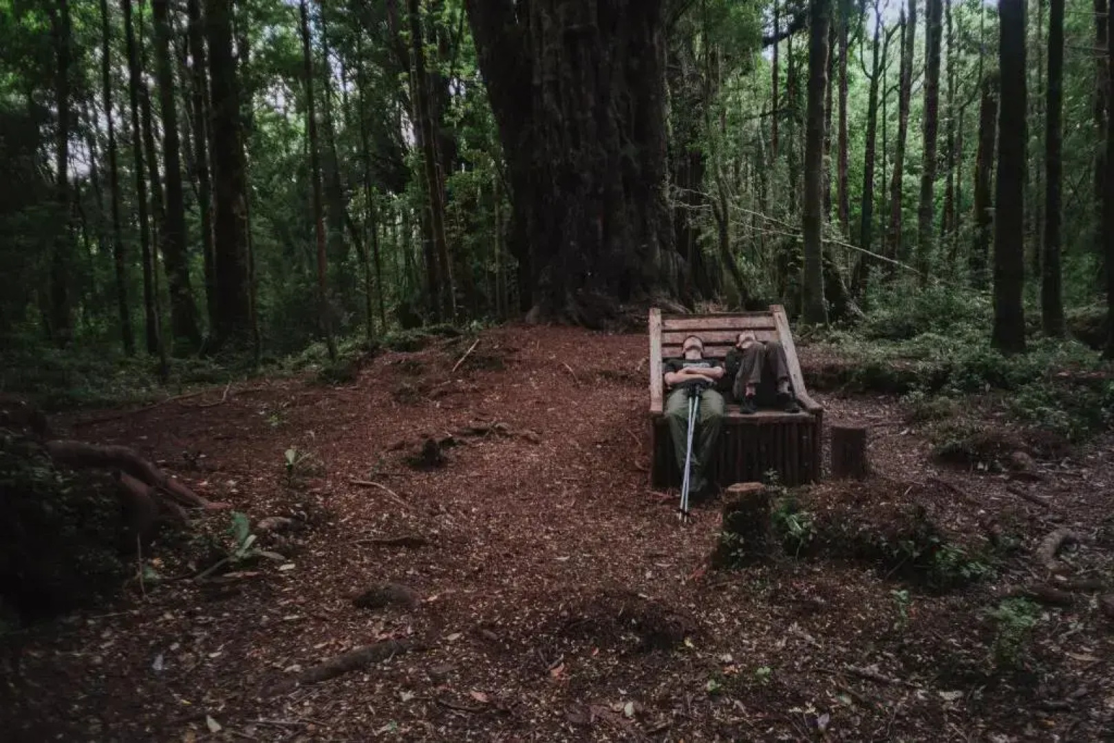 Lodge Parque Tepuhueico