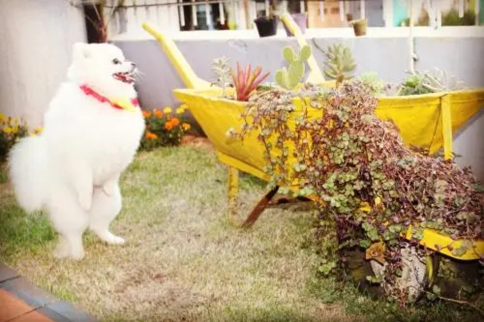 Hostel E Pousada Tiradentes