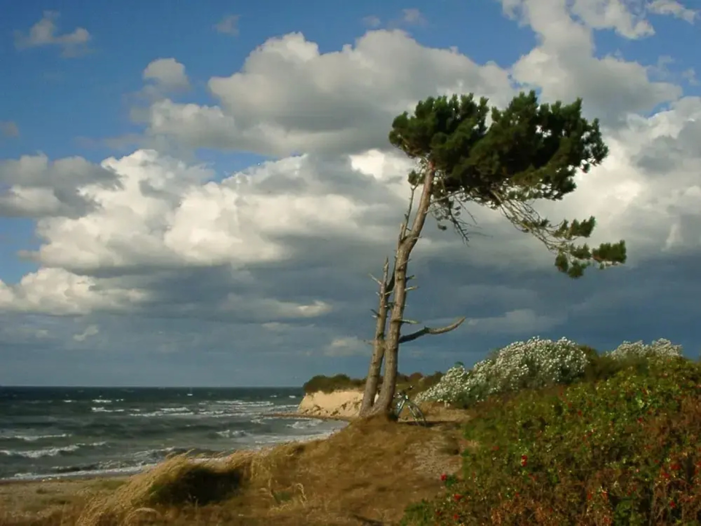 Hotel & Restaurant Zum Kap Arkona