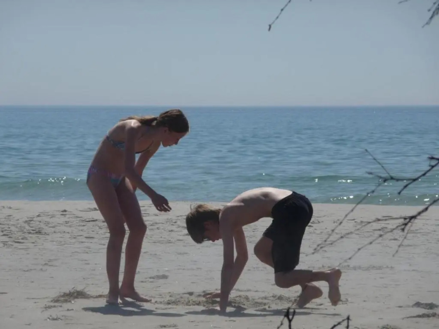 STF Vandrarhem Backåkra