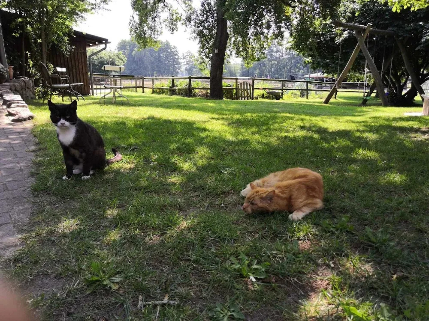 Ferienhof Trapp Heuhotel