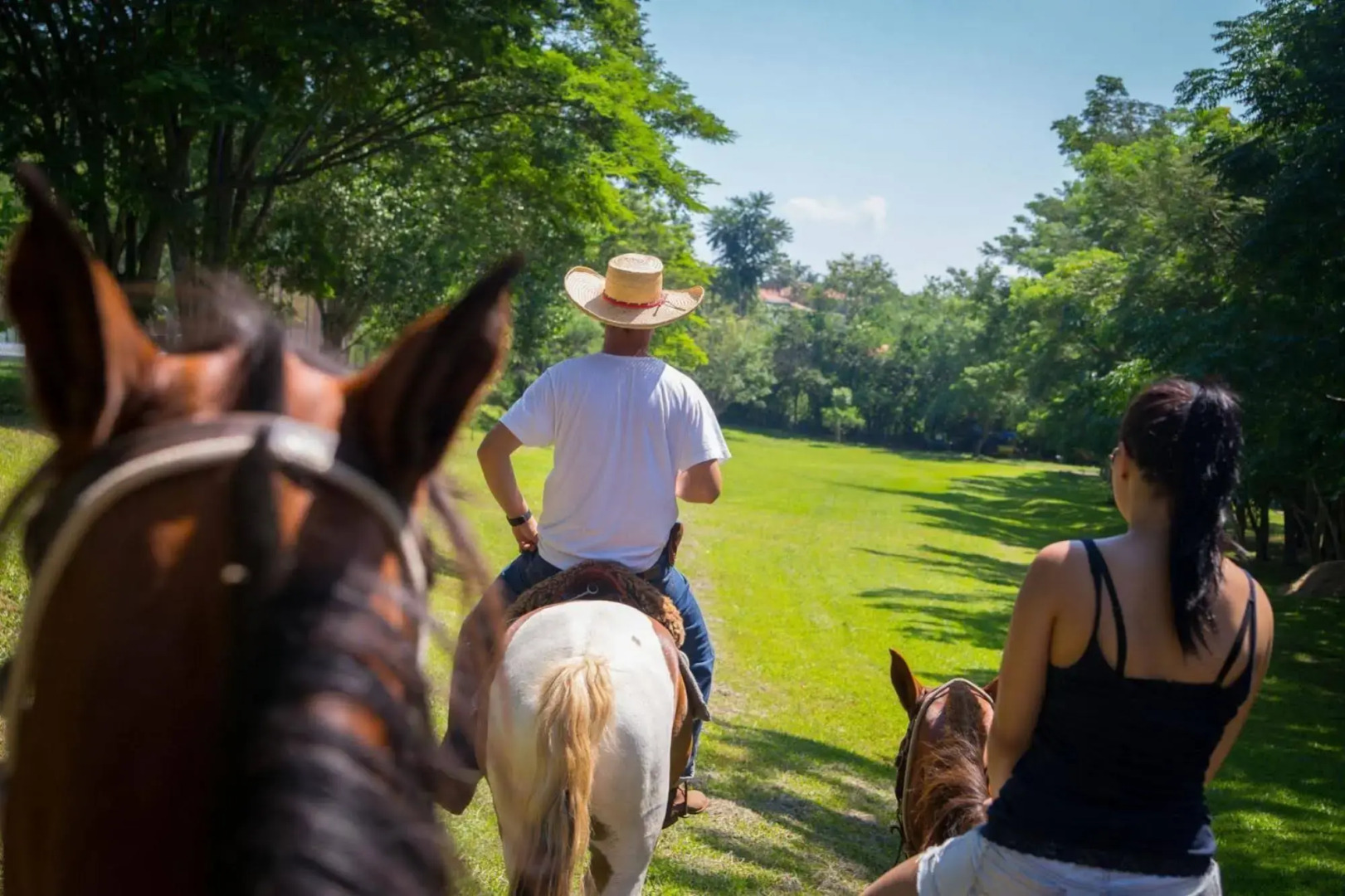 Resort Fazenda São João