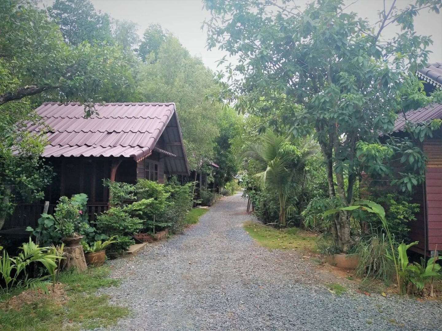 Suchanaree At Leam Ngop