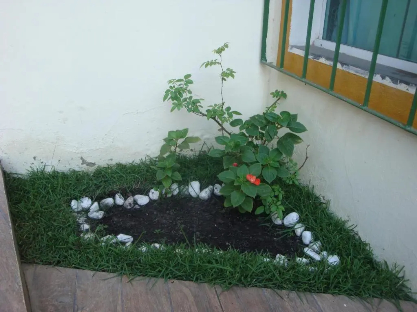 Chal¿orada dos Sonhos