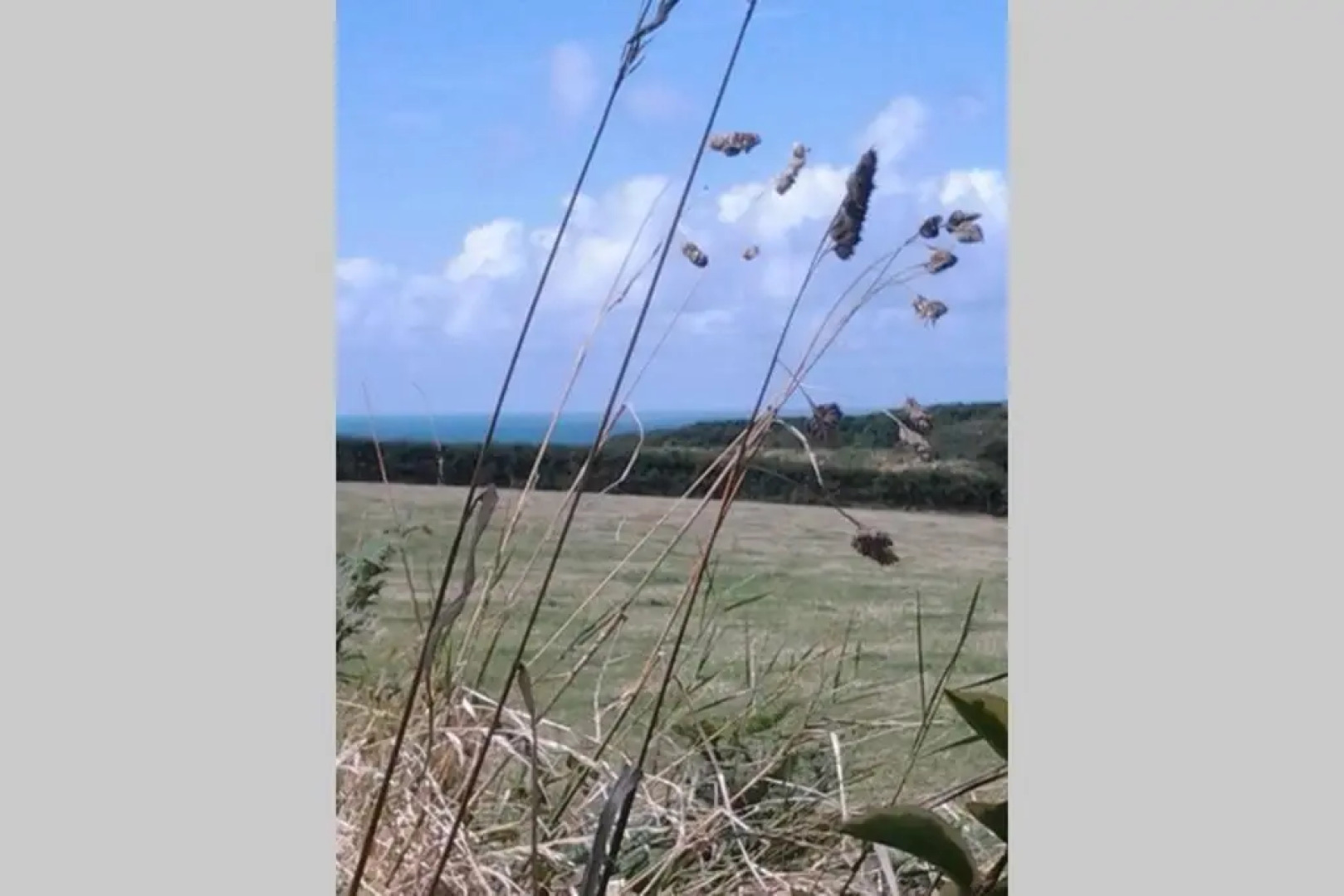 The Dairy @ Mill Haven Place