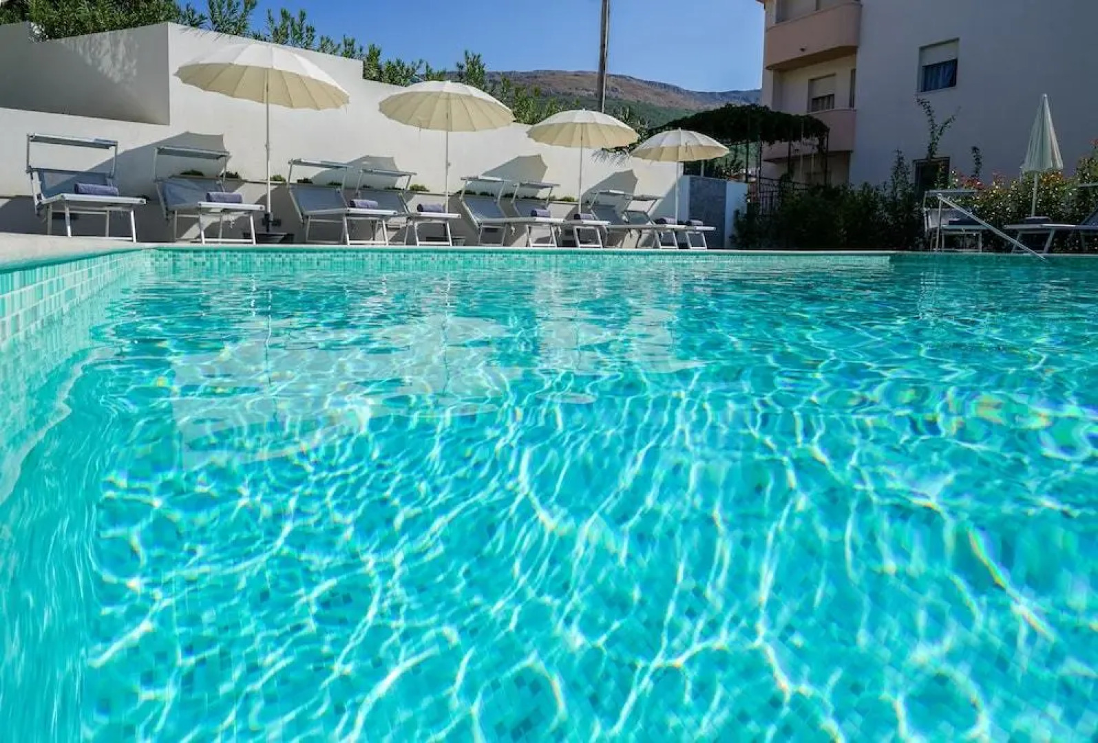 Olive Tree Apartments