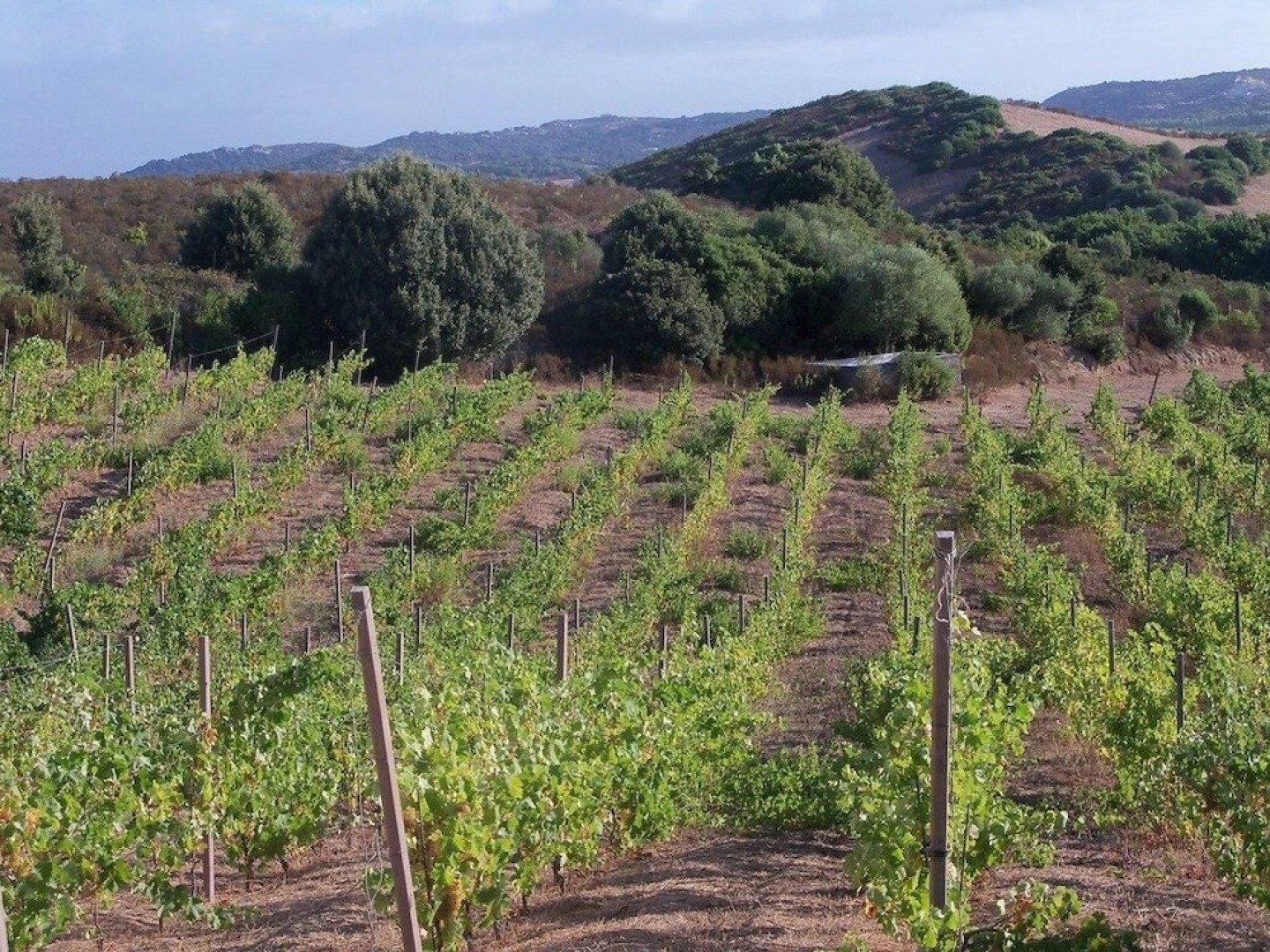 Locanda In Vigna
