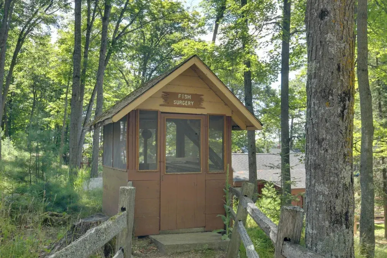 Quaint & Cozy Lake Cabin w/ Dock & Beach Access!